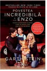 Povestea incredibilă a lui Enzo (ISBN: 9786067936223)