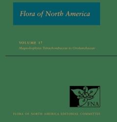 Fna: Volume 17: Magnoliophyta: Tetrachondraceae to Orbobanchaceae (ISBN: 9780190868512)