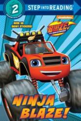 Ninja Blaze! (Blaze and the Monster Machines) - Cynthia Ines Mangual, Dave Aikins (ISBN: 9780525648659)