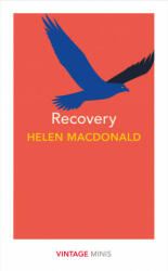 Recovery - Vintage Minis (ISBN: 9781784875473)