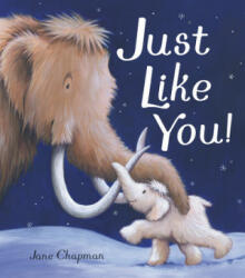 Just Like You! - Jane Chapman (ISBN: 9781848699342)