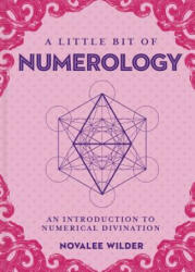 Little Bit of Numerology, A - Novalee Wilder (ISBN: 9781454936114)