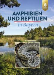 Amphibien und Reptilien in Bayern - Eberhard Andrä, Otto Aßmann, Thomas Dürst, Günter Hansbauer, Andreas Zahn (ISBN: 9783818603793)