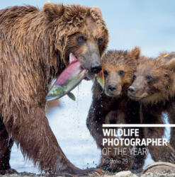 Wildlife Photographer of the Year: Portfolio 29 (ISBN: 9780565094867)