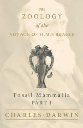 Fossil Mammalia - Part I - The Zoology of the Voyage of H. M. S Beagle - Charles Darwin (ISBN: 9781528712088)