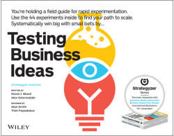 Testing Business Ideas - A Field Guide for Rapid Experimentation - David Bland (ISBN: 9781119551447)