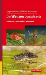 Die Wanzen Deutschlands - Jürgen Deckert, Ekkehard Wachmann (ISBN: 9783494016368)