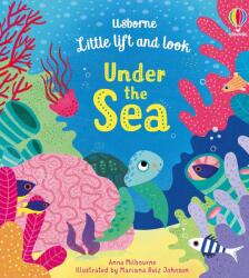 Little Lift and Look Under the Sea (ISBN: 9781474952965)