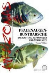 Pfauenaugen-Buntbarsche - Thomas Weidner (2010)
