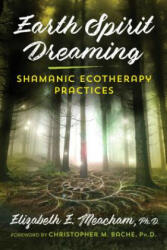 Earth Spirit Dreaming - Elizabeth E. Meacham, Christopher M. Bache (ISBN: 9781620559871)
