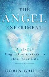 The Angel Experiment (ISBN: 9781608686254)