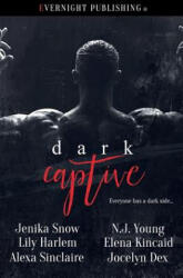 Dark Captive - Jenika Snow, Lily Harlem, Alexa Sinclaire (ISBN: 9781773390468)