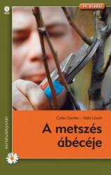 A metszés ábécéje (ISBN: 9789632867496)