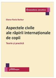 Aspectele civile ale răpirii internaționale de copii (ISBN: 9786062714406)