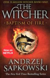 The Witcher: Baptism of Fire (2020)