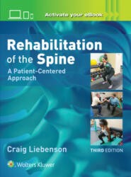 Rehabilitation of the Spine: A Patient-Centered Approach - Brian Brown (ISBN: 9781496339409)
