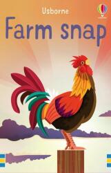 Farm Snap (Snap Cards) - NOT KNOWN (ISBN: 9781474970839)
