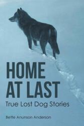 Home at last: True Lost Dog Stories (ISBN: 9781645840022)