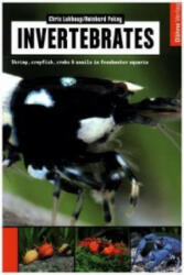 Invertebrates - Chris Lukhaup, Reinhard Pekny (ISBN: 9783944821061)