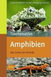Taschenatlas Amphibien - Friedrich-Wilhelm Henkel, Wolfgang Schmidt (2011)
