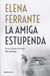 La amiga estupenda (ISBN: 9788466344357)