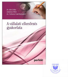 A VÁLLALATI ELLENŐRZÉS GYAKORLATA (ISBN: 9789633948705)