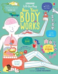 Lift-the-Flap Cum funcționează corpul tău (ISBN: 9781474950732)