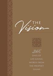 The Vision (ISBN: 9781424558605)