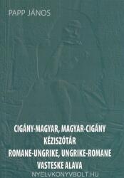 Cigány-magyar / magyar-cigány kéziszótár (2008)