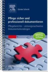 Pflege sicher und professionell dokumentieren - Günter Schmitt (2010)