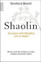Shaolin - Bernhard Moestl (2010)