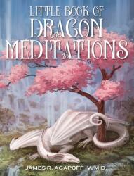 Little Book of Dragon Meditations (ISBN: 9781977204295)