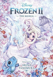 Disney Frozen 2 (ISBN: 9781974715855)