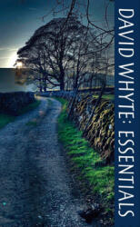 David Whyte Essentials - David Whyte (ISBN: 9781932887501)