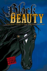 Black Beauty - L Owens (ISBN: 9781406213485)