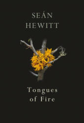 Tongues of Fire - Seán Hewitt (ISBN: 9781787332263)