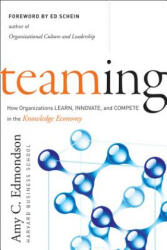 Teaming (2009)