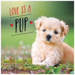 Love Is a Pup: A Dog-Tastic Celebration of the World's Cutest Puppies (ISBN: 9781787832619)
