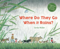 Where Do They Go When It Rains? (ISBN: 9781782506874)