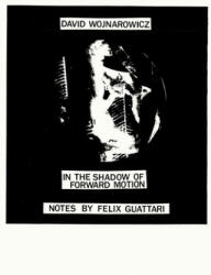 David Wojnarowicz: In the Shadow of Forward Motion - David Wojnarowicz (ISBN: 9781732098688)