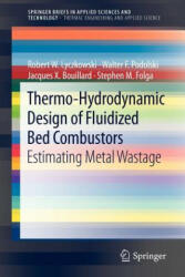 Thermo-Hydrodynamic Design of Fluidized Bed Combustors - Robert W. Lyczkowski, Walter F. Podolski, Jacques X. Bouillard, Stephen M. Folga (2012)