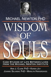 Wisdom of Souls - The Newton Institute (ISBN: 9780738758343)