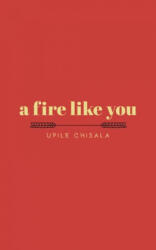 A Fire Like You (ISBN: 9781449499587)