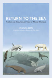 Return to the Sea - Annalisa Berta (ISBN: 9780520355521)