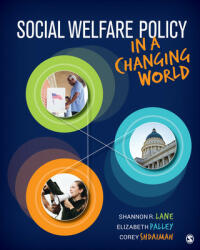 Social Welfare Policy in a Changing World - Elizabeth S. Palley, Corey S. Shdaimah (ISBN: 9781544316185)