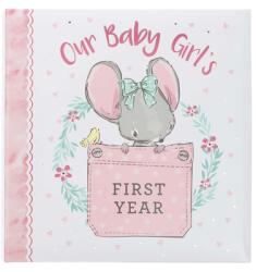 Memory Book Our Baby Girl's First Year (ISBN: 9781432131234)