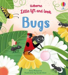 Little Lift and Look Bugs (ISBN: 9781474968812)