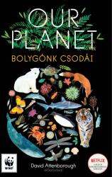 Our Planet - Bolygónk csodái (2020)
