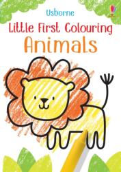Little First Colouring Animals - KIRSTEEN ROBSON (ISBN: 9781474969215)
