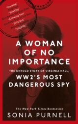 A Woman of No Importance (ISBN: 9780349010168)